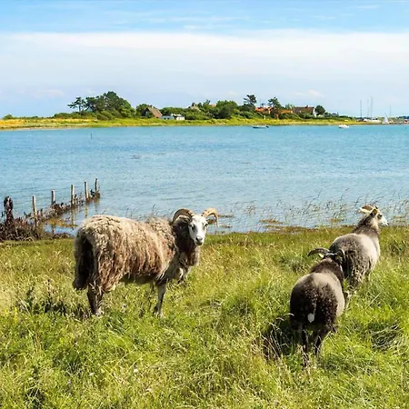 20601-samso-nordby-hovedgade-2 Ferienhaus